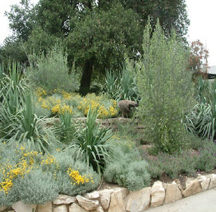 Los Angeles County Arboretum